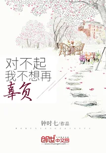 《对不起,我不想再辜负》小说封面