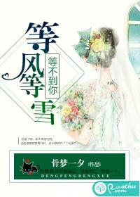 《等风等雪,等不到你》小说封面