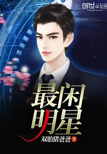 《最闲明星》小说封面