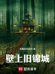 《壁上旧锦城》小说封面