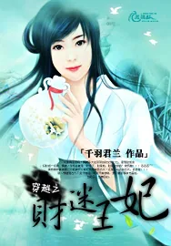 《穿越之财迷王妃》小说封面