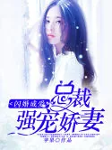 《闪婚成爱：总裁强宠娇妻》小说封面