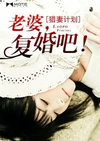 《猎妻计划：老婆，复婚吧！》小说封面
