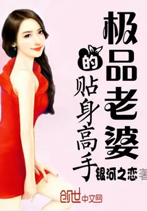 《极品老婆的贴身高手》小说封面