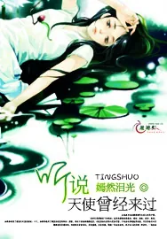 《听说天使曾经来过》小说封面