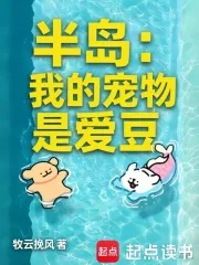 《半岛：我的宠物是爱豆》小说封面