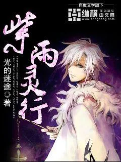 《紫雨灵行》小说封面