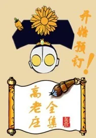 《高老庄》小说封面