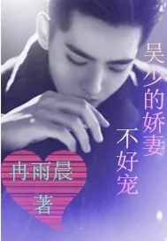 《吴少的娇妻不好宠》小说封面
