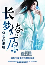 《长梦燎原》小说封面