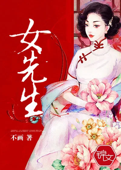 《女先生》小说封面