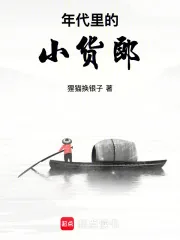 《年代里的小货郎》小说封面