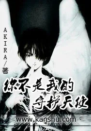 《你不是我的守护天使》小说封面