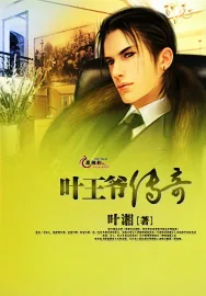 《叶王爷传奇》小说封面