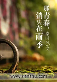 《那青春，消失在雨季》小说封面