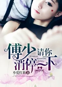《傅少，请你消停一下》小说封面