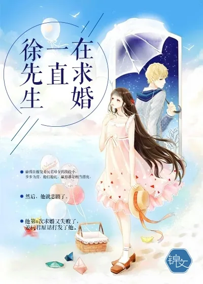 《徐先生一直在求婚》小说封面