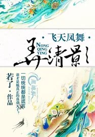 《飞天凤舞弄清影》小说封面