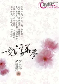 《一觉浮华梦》小说封面