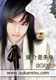 《媒介是条鱼》小说封面