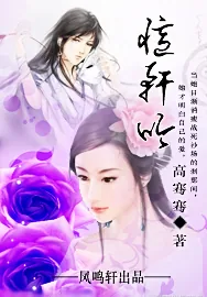 《忆轩吟》小说封面