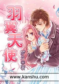 《羽翼天使》小说封面