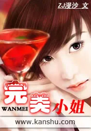 《完美小姐》小说封面