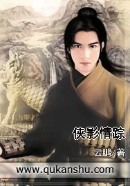《侠影情踪》小说封面