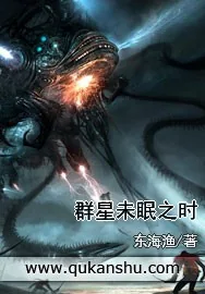 《群星未眠之时》小说封面