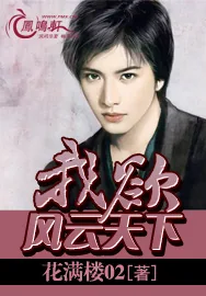 《我欲风云天下》小说封面