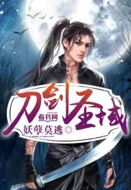 《刀剑圣域》小说封面