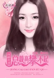 《沉醉欢凉：总裁高攀不起》小说封面