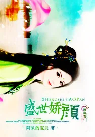 《盛世娇颜》小说封面