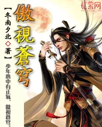 《傲视苍穹》小说封面