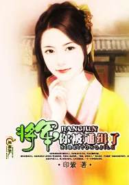 《将军，你被通缉了》小说封面