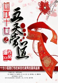 《倾城十世：五夫当道》小说封面