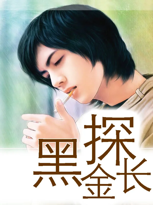 《黑金探长》小说封面