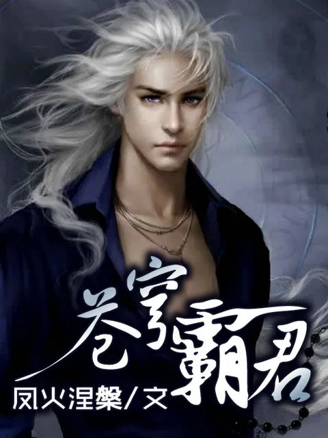 《苍穹霸君》小说封面