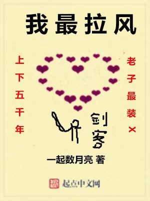 《我最拉风》小说封面