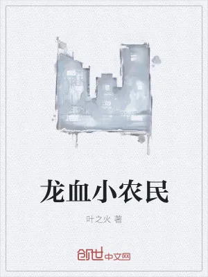 《龙血小农民》小说封面