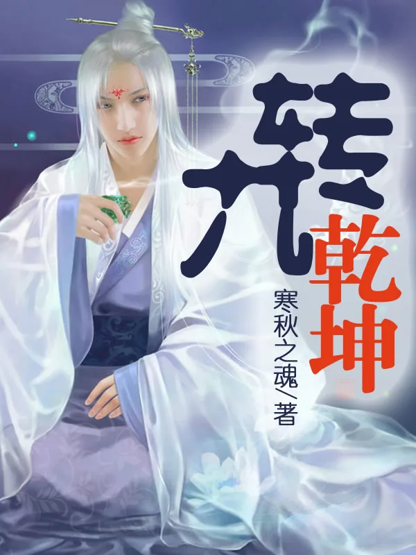《九转乾坤》小说封面
