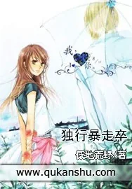《独行暴走卒》小说封面