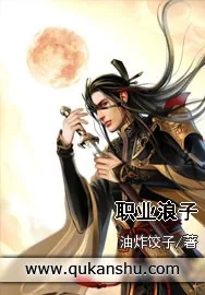 《职业浪子》小说封面