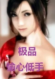 《极品偷心低手》小说封面