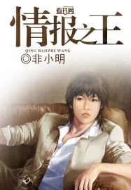 《情报之王》小说封面