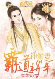 《霸道将军神偷妻》小说封面