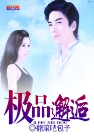 《极品邂逅》小说封面