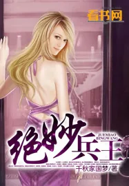 《绝妙兵王》小说封面
