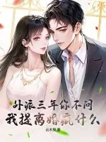 《外派三年你不问，我提离婚疯什么？》小说封面