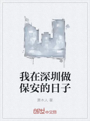 《我在深圳做保安的日子》小说封面